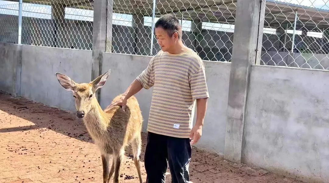 二维码